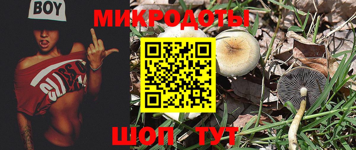 Белебей  Галлюциногенные грибы мухоморы  Вход с VPN 